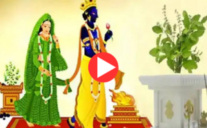 Tulsi vivah